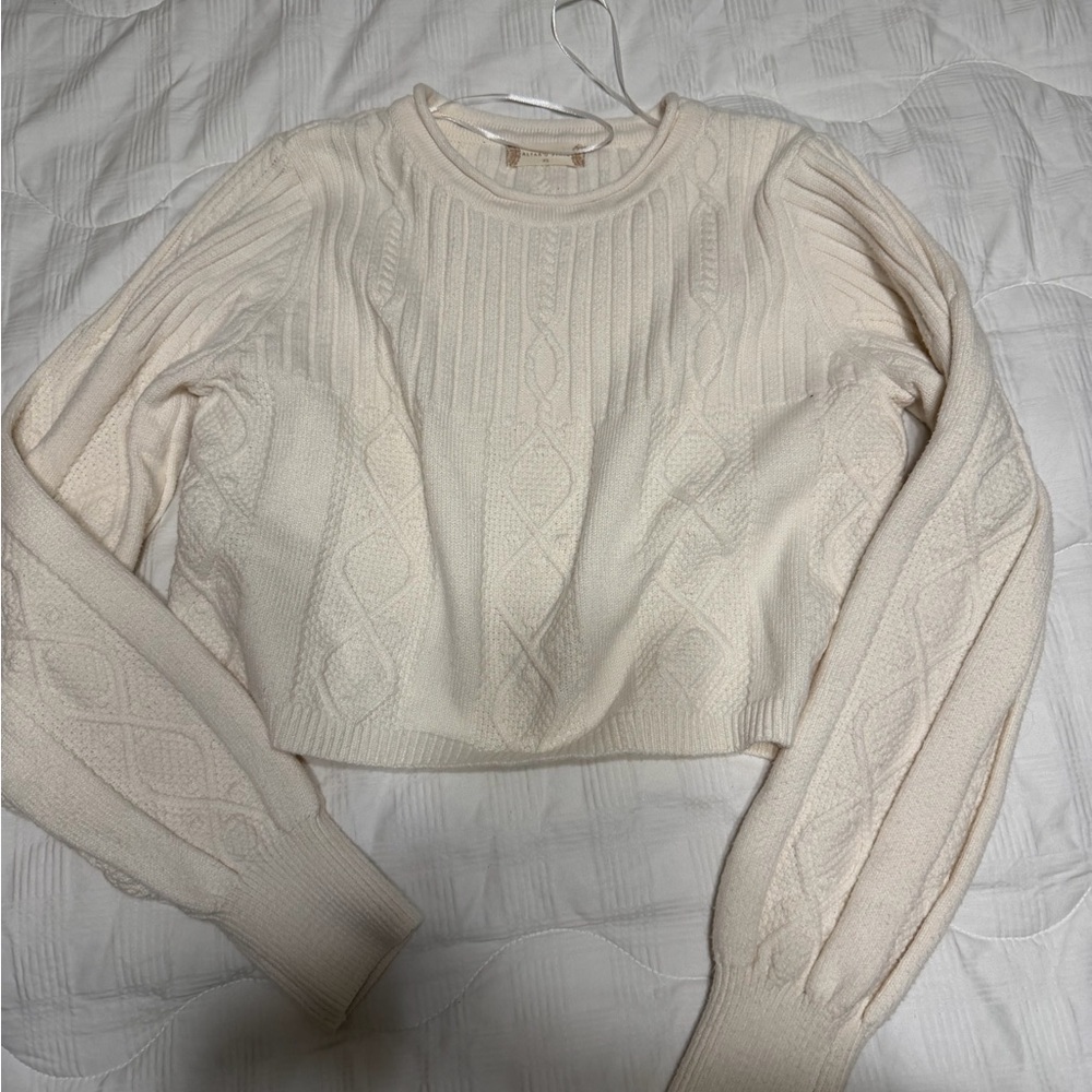 Altard state crop Sweater